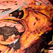 tattoo galleries/ - TREE OF DEATH